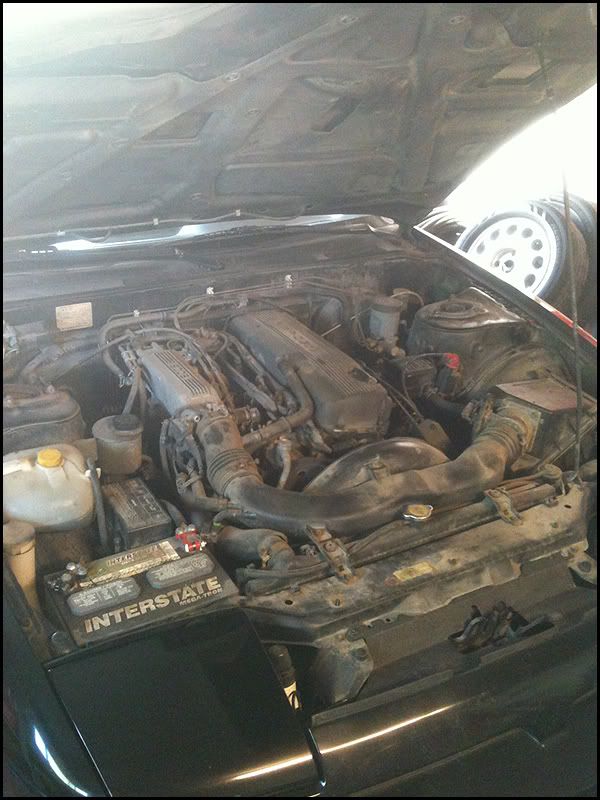 http://i82.photobucket.com/albums/j257/scott213/1990 Nissan 240sx/3.jpg